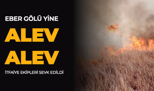 Eber Gölü çevresindeki sazlık alanda yangın çıktı