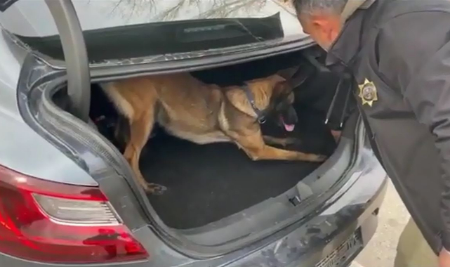 NARKOTİK KÖPEĞİ BELLA BULDU, TAM 2 KİLO