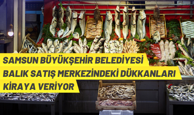 Samsun'da balık dükkanları kiraya verilecek