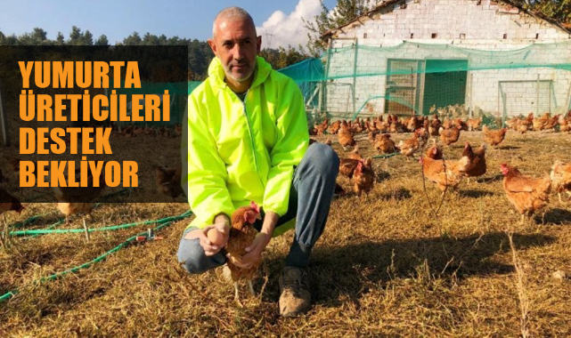YUMURTA ÜRETİCİLERİ DESTEK BEKLİYOR
