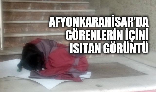AFYONKARAHİSAR’DA GÖRENLERİN İÇİNİ ISITAN GÖRÜNTÜ