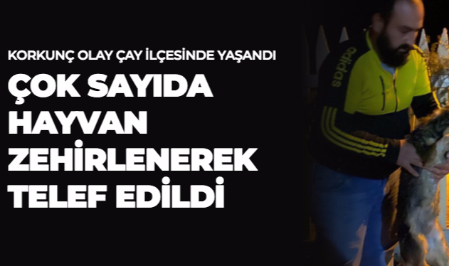 ÇOK SAYIDA HAYVAN ZEHİRLENEREK TELEF EDİLDİ