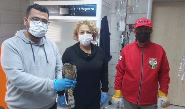 Markete giren atmacayı AKUT ekibi yakaladı