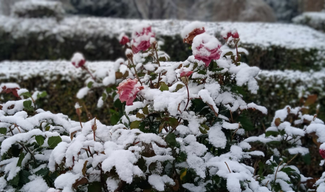 METEOROLOJİ GÜNLERDİR UYARIYORDU, BEKLENEN KAR YAĞIŞI BAŞLADI