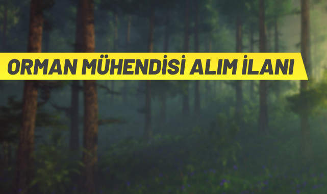Orman Genel Müdürlüğü 22 Orman Mühendisi alacak