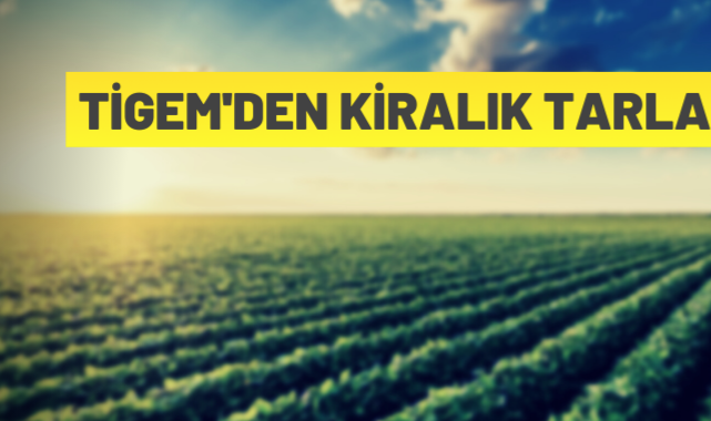 TİGEM'den kiralık tarlalar
