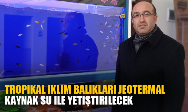 Tropikal iklim balıkları jeotermal kaynak su ile yetiştirilecek