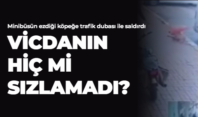 VİCDANIN HİÇ Mİ SIZLAMADI?
