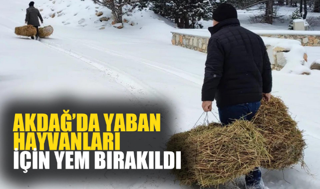 Akdağ’da yaban hayvanları için yem bırakıldı