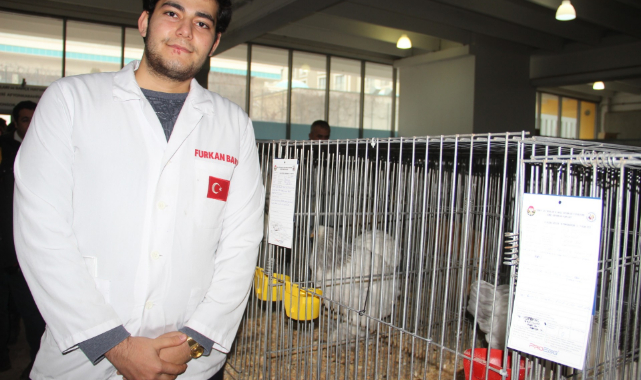 BAHÇE VE SÜS HAYVANLARI ULUSAL YARIŞMADA GÖRÜCÜYE ÇIKTI