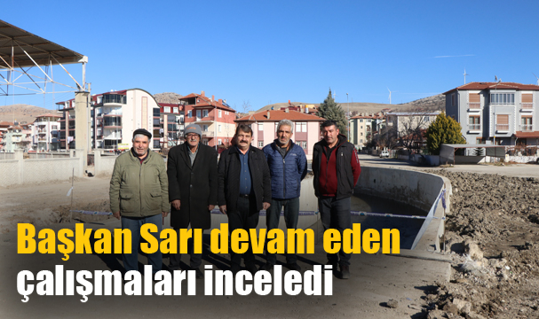 Başkan Sarı devam eden çalışmaları inceledi