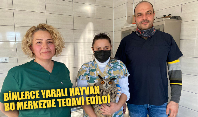 BİNLERCE YARALI HAYVAN BU MERKEZDE TEDAVİ EDİLDİ