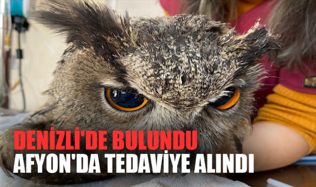 Denizli'de bulundu Afyon'da tedaviye alındı