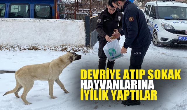 Devriye atıp sokak hayvanlarına iyilik yaptılar