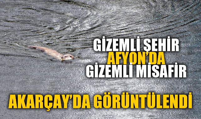 GİZEMLİ ŞEHİR AFYON'DA GİZEMLİ MİSAFİR
