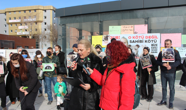 “HAYVAN KATLİAMINA SON VERİLSİN”