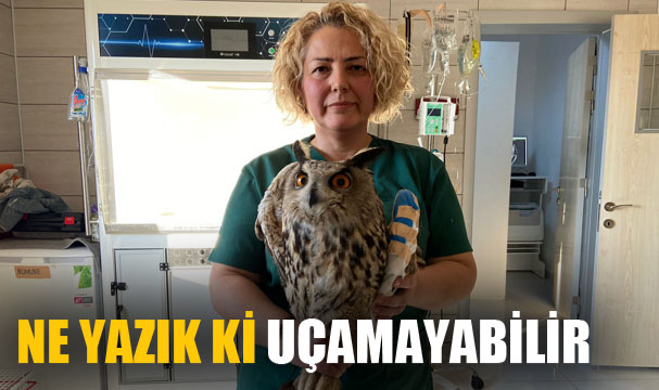 Ne yazık ki uçamayabilir