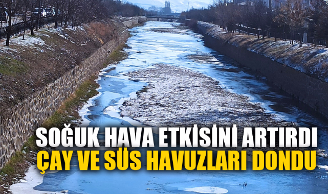 Soğuk havalar çay ve süs havuzlarını dondurdu