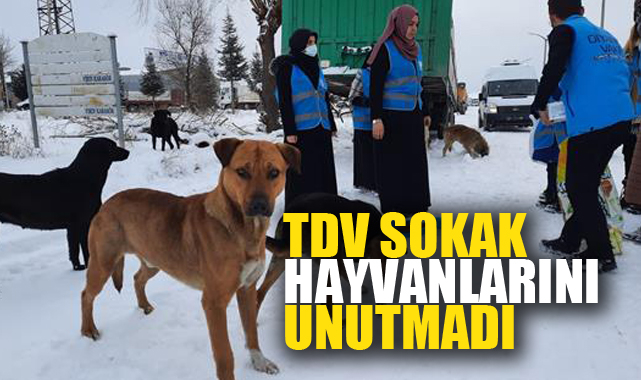 TDV SOKAK HAYVANLARINI UNUTMADI