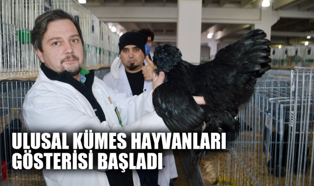 ULUSAL KÜMES HAYVANLARI GÖSTERİSİ BAŞLADI