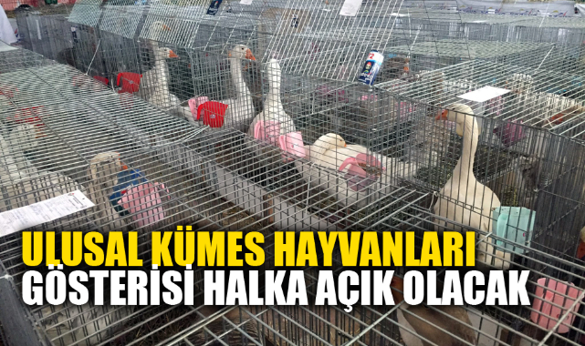 ULUSAL KÜMES HAYVANLARI GÖSTERİSİ HALKA AÇIK OLACAK