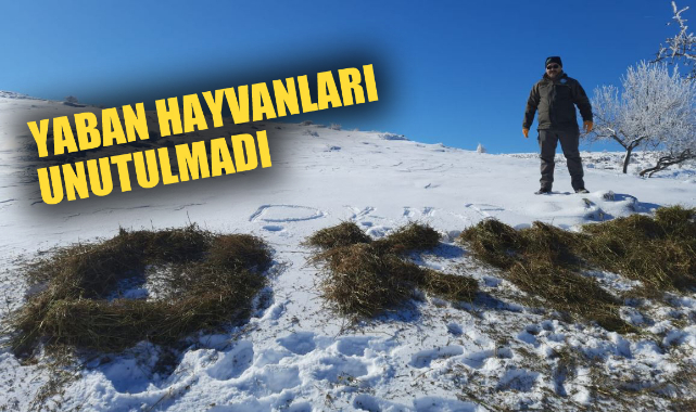 Yaban hayvanları unutulmadı