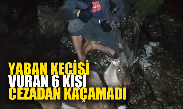 Yaban keçisi vuran 6 kişi cezadan kaçamadı