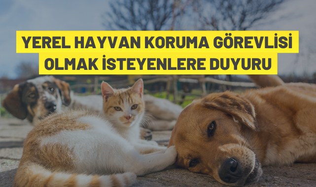 Yüreğir'de Yerel Hayvan Koruma Görevlisi Eğitimi düzenlenecek