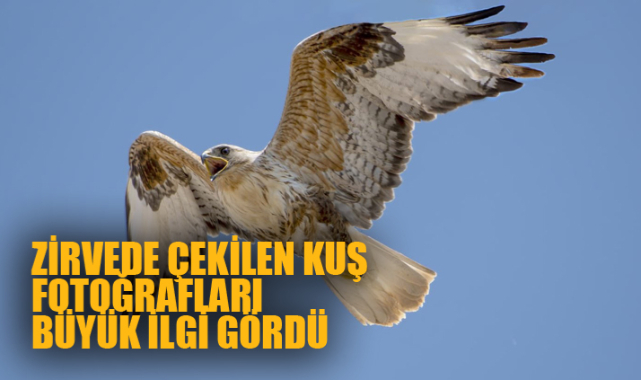 ZİRVEDE ÇEKİLEN KUŞ FOTOĞRAFLARı BÜYÜK İLGİ GÖRDÜ