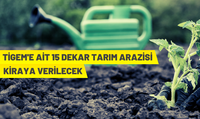 14 dekar üretim tesisi kiraya verilecek