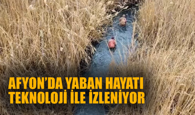 AFYON’DA YABAN HAYATI TEKNOLOJİ İLE İZLENİYOR  