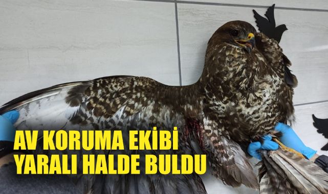 AV KORUMA EKİBİ YARALI HALDE BULDU