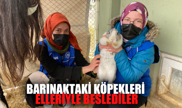 BARINAKTAKİ KÖPEKLERİ ELLERİYLE BESLEDİLER