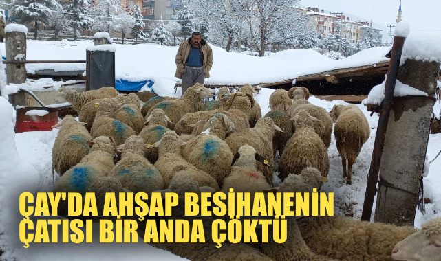 Çay'da ahşap besihanenin çatısı bir anda çöktü