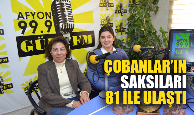 “Çobanlar’ın saksıları 81 ile ulaştı”