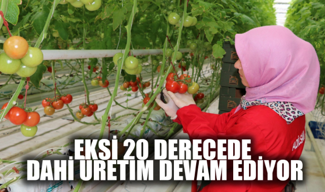 EKSİ 20 DERECEDE DAHİ ÜRETİM DEVAM EDİYOR