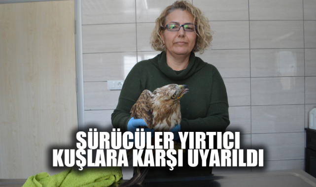 SÜRÜCÜLER YIRTICI KUŞLARA KARŞI UYARILDI