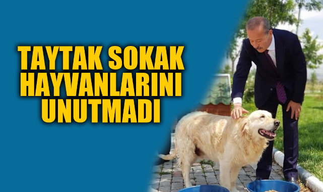 TAYTAK SOKAK HAYVANLARINI UNUTMADI
