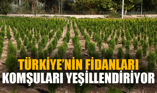 Türkiye’nin fidanları komşuları yeşillendiriyor