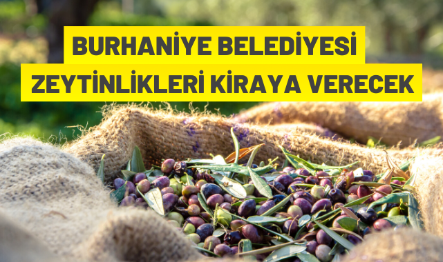 Zeytinlikler kiraya verilecek