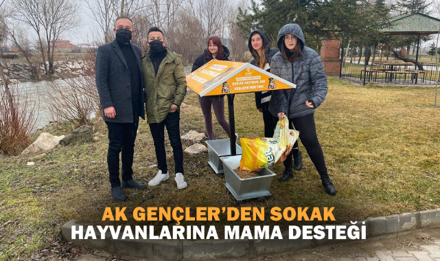 AK GENÇLER’DEN SOKAK HAYVANLARINA MAMA DESTEĞİ