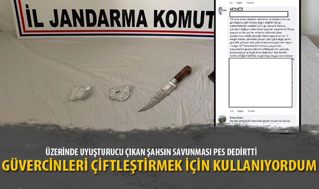 GÜVERCİNLERİ ÇİFTLEŞTİRMEK İÇİN KULLANIYORDUM