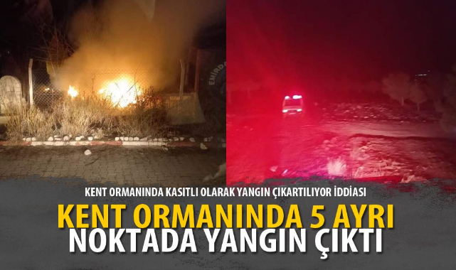KENT ORMANINDA 5 AYRI NOKTADA YANGIN ÇIKTI