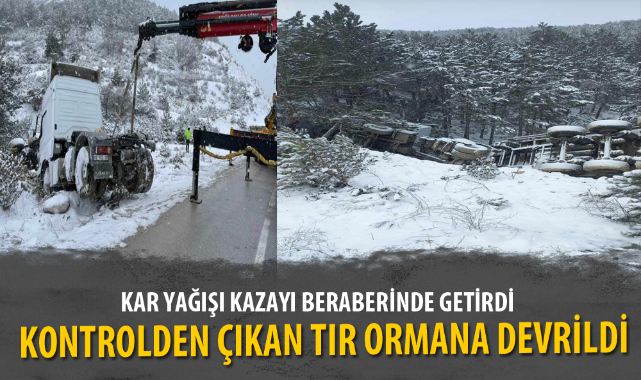 KONTROLDEN ÇIKAN TIR ORMANA DEVRİLDİ