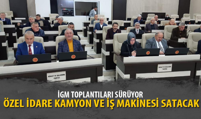 ÖZEL İDARE KAMYON VE İŞ MAKİNESİ SATACAK