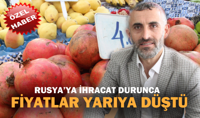 RUSYA'YA İHRACAT DURUNCA FİYATLAR YARIYA DÜŞTÜ