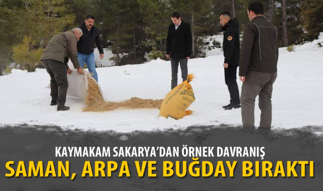 SAMAN, ARPA VE BUĞDAY BIRAKTI