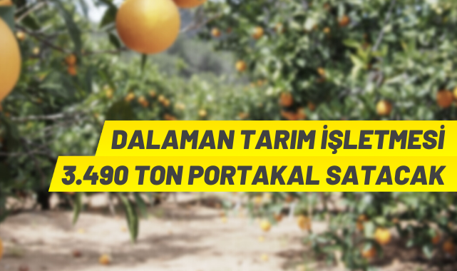 TİGEM'den portakal satış ihalesi