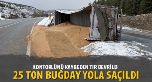 TIR DEVRİLDİ, BUĞDAYLAR YOLA SAÇILDI