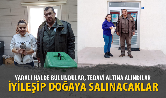 YARALI HALDE BULUNDULAR, TEDAVİ ALTINA ALINDILAR